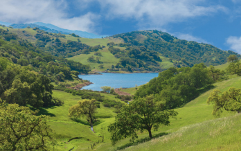 Q4 2025 - Impact Investing Newsletter: Environmental
